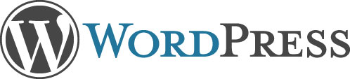 Website Design wordpress logo large - Website Design