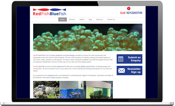 Redfish Bluefish website before re design - RedFish BlueFish
