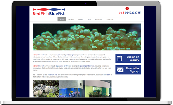 RedFish BlueFish Redfish Bluefish website before re design - RedFish BlueFish