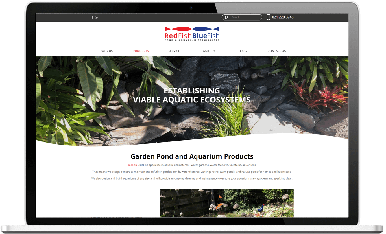 RedFish BlueFish redfish bluefish view in laptop - RedFish BlueFish