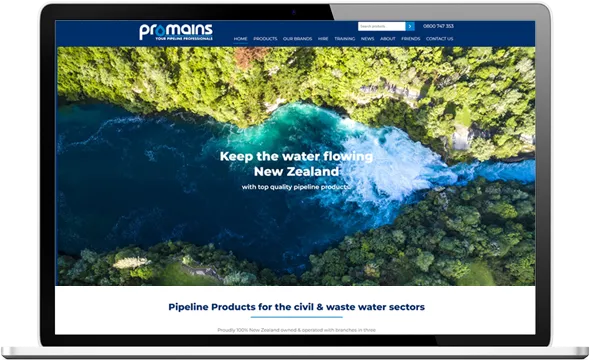 Promains website after redesign Promains website after redesign
