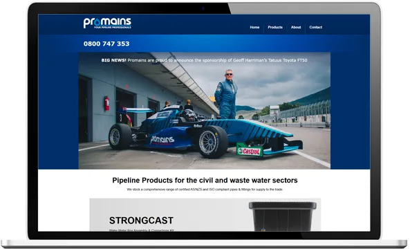 Promains website before redesign Promains website before redesign