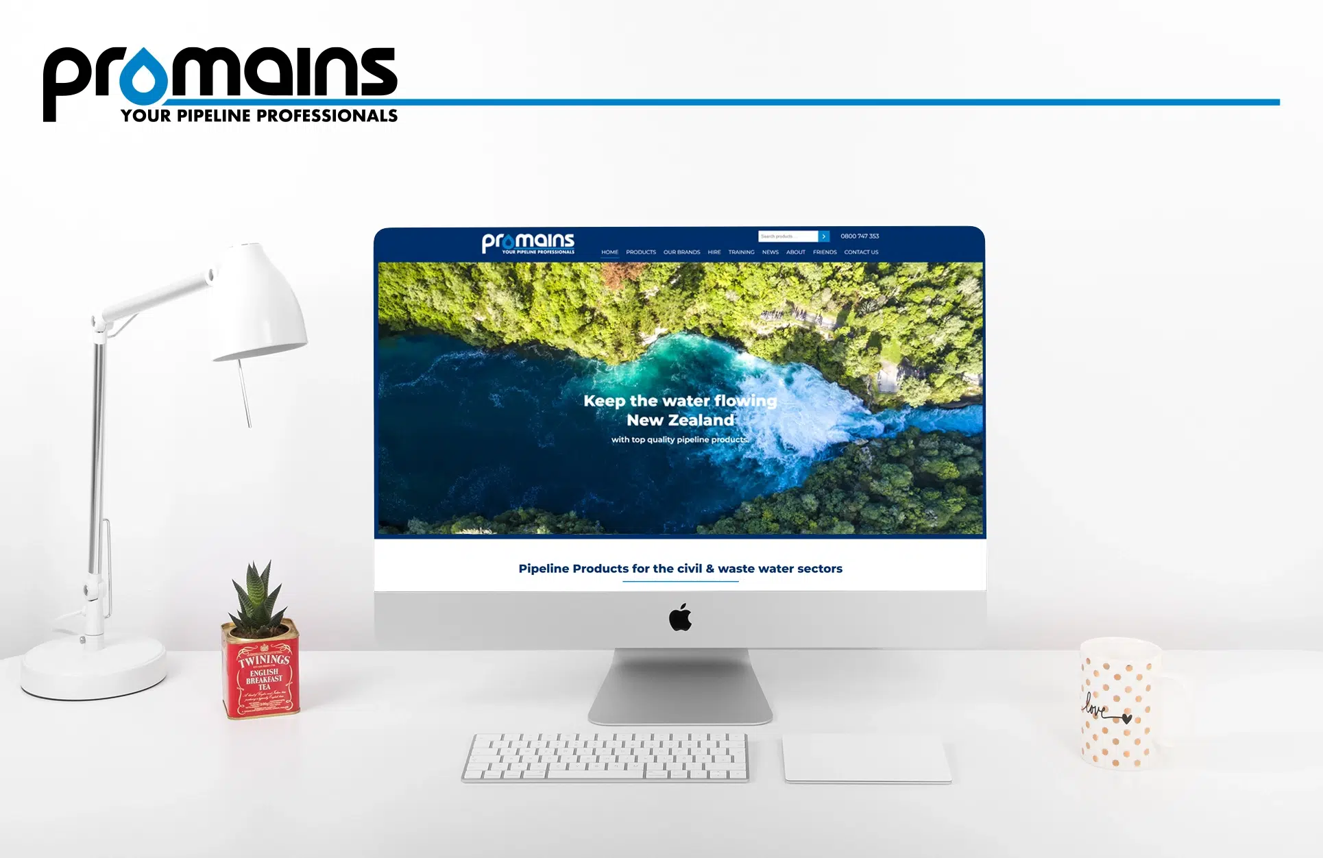 Promains website design thumbnail